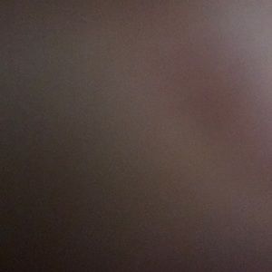 Meet your Posher, Rily